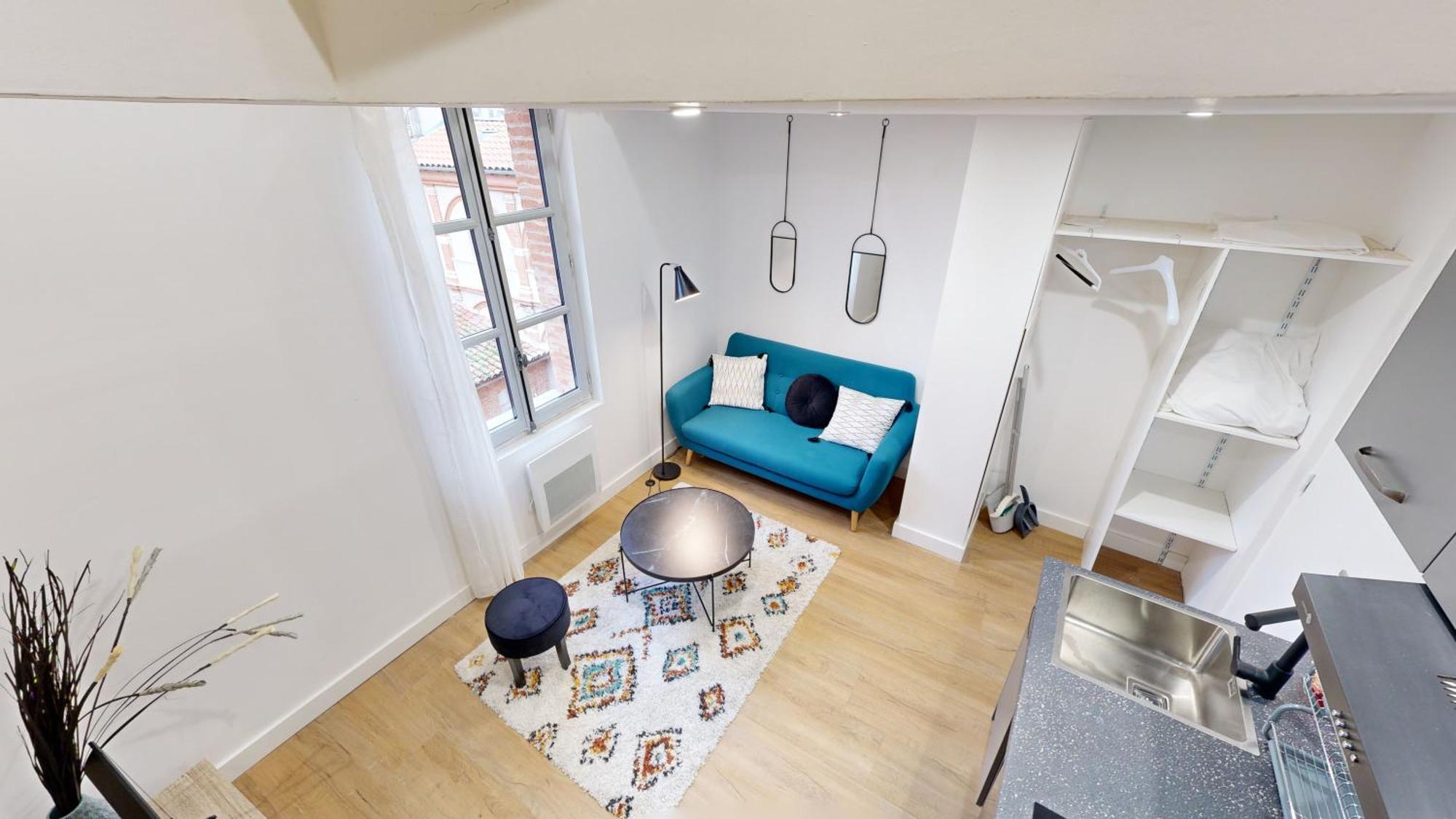 Apartment Chal5 Duplex 25m2 A 200m Du Capitole *